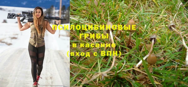 марихуана Белокуриха