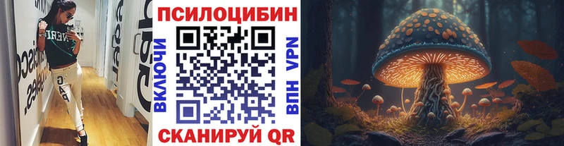 MEGA   Курильск  Псилоцибиновые грибы прущие грибы  наркотики 