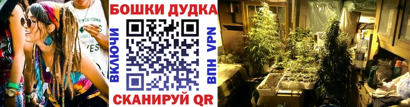 Марихуана план  Курильск 